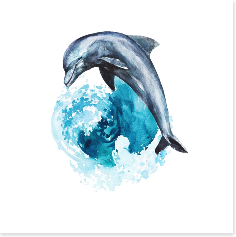 Dolphin wave