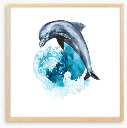 Dolphin wave