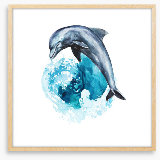 Dolphin wave