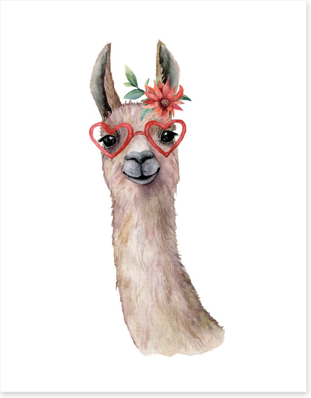 Llama love