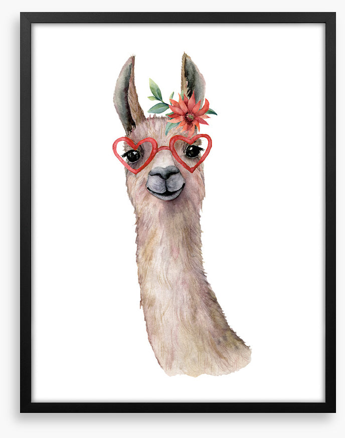 Llama love