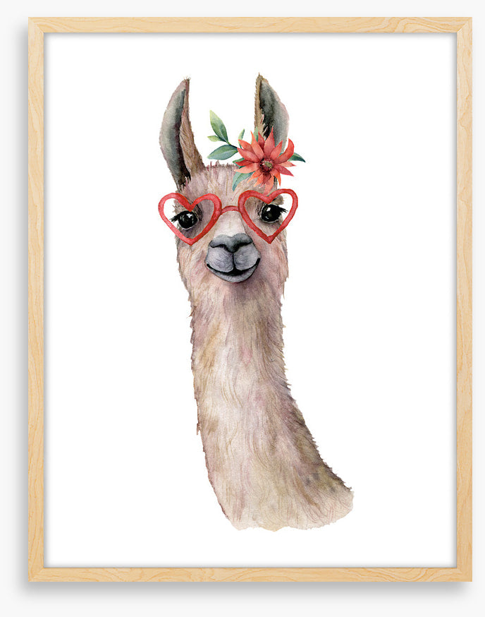 Llama love