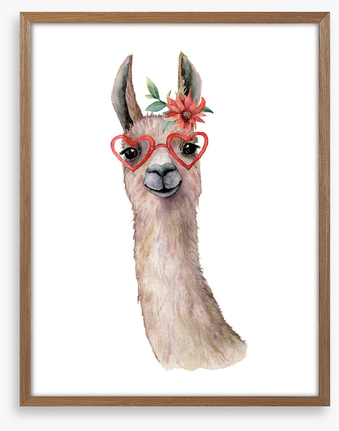 Llama love