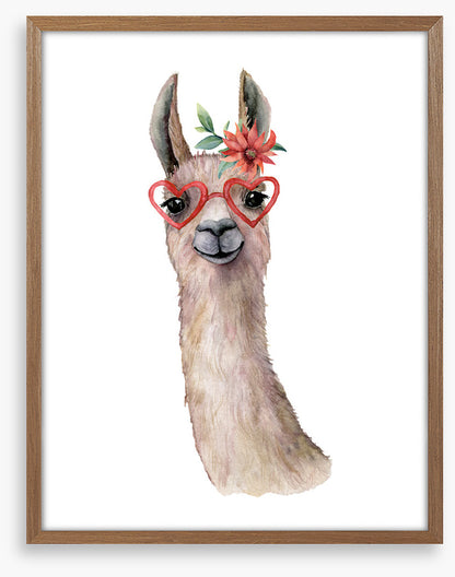 Llama love