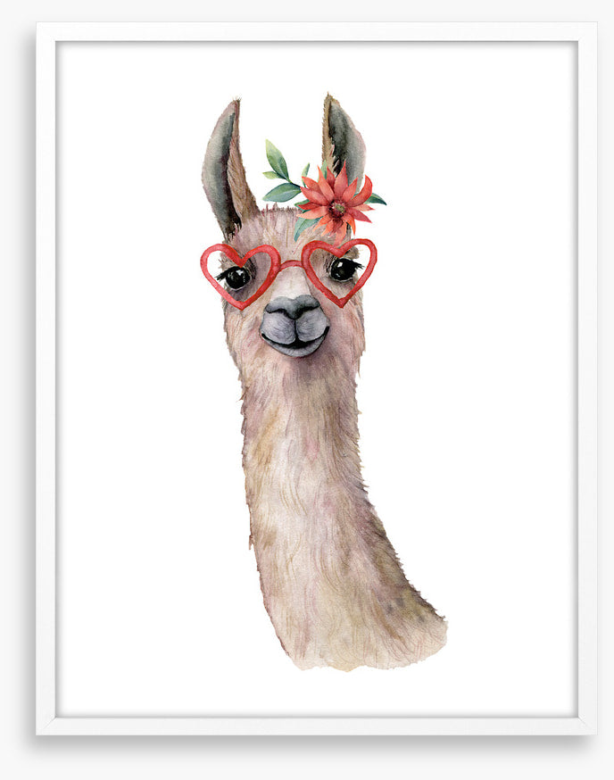 Llama love