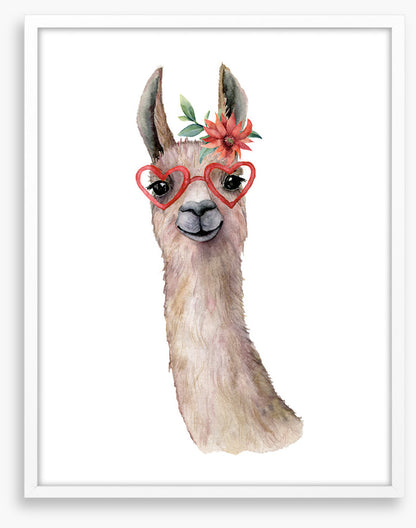 Llama love