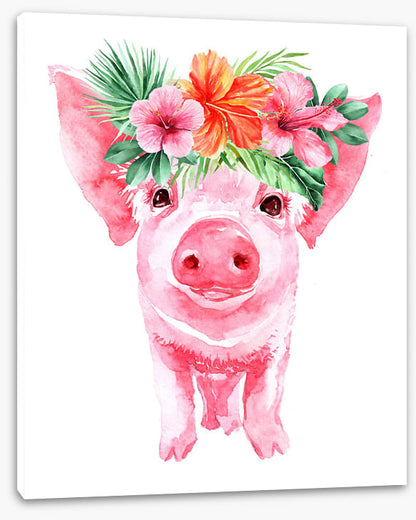 Aloha piglet