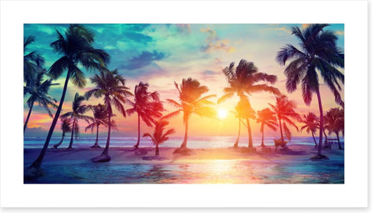 Sunset on summer