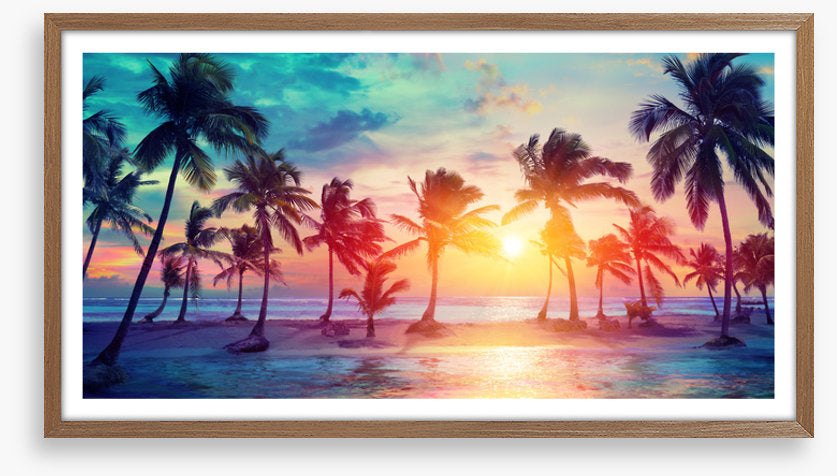 Sunset on summer