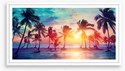 Sunset on summer
