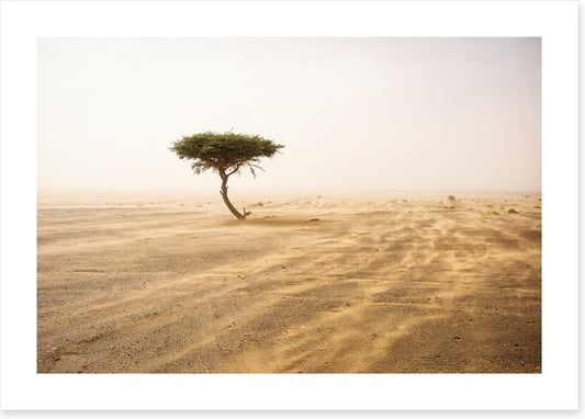 Africa