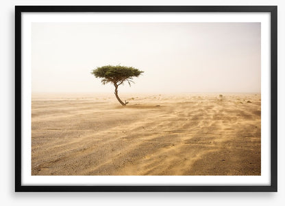 Africa
