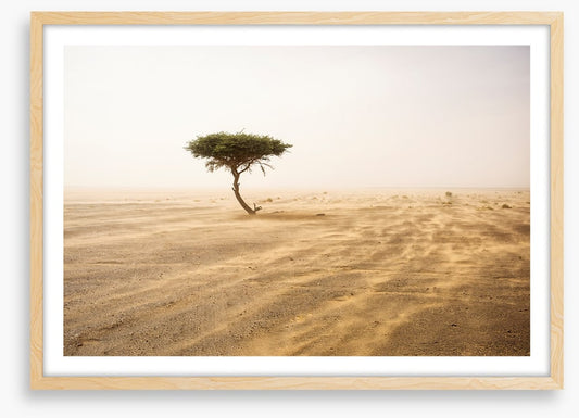 Africa