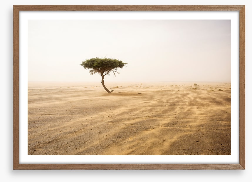 Africa