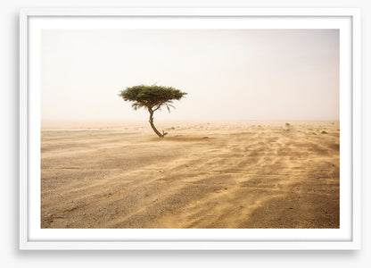 Africa