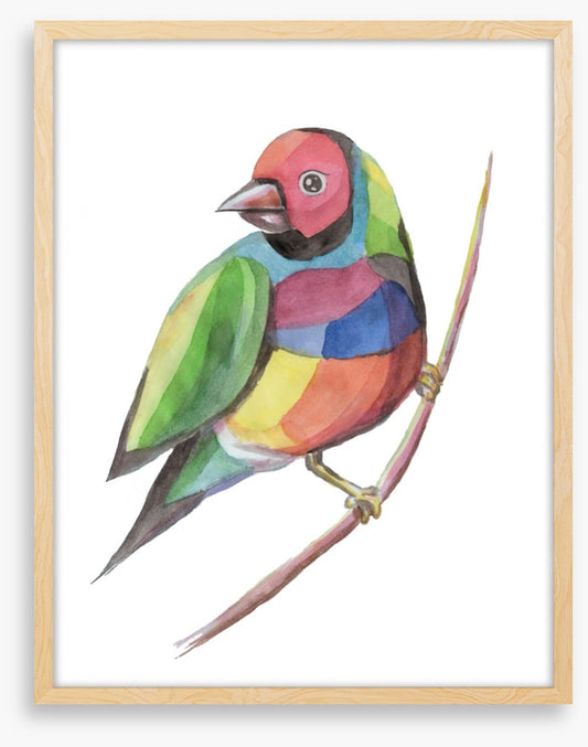 Birds