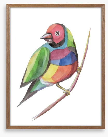 Birds