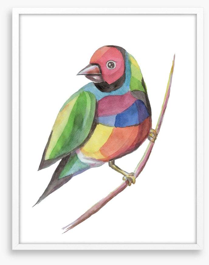 Birds