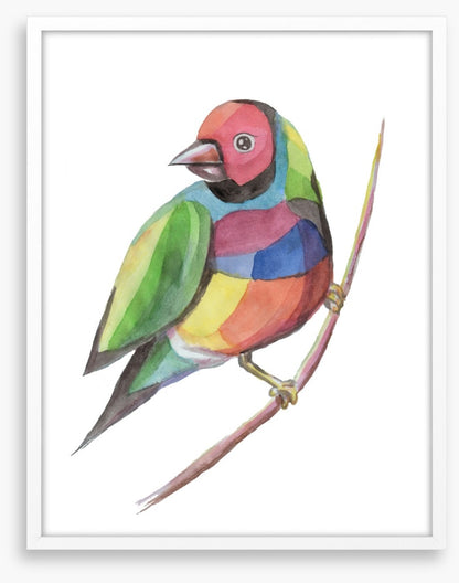 Birds