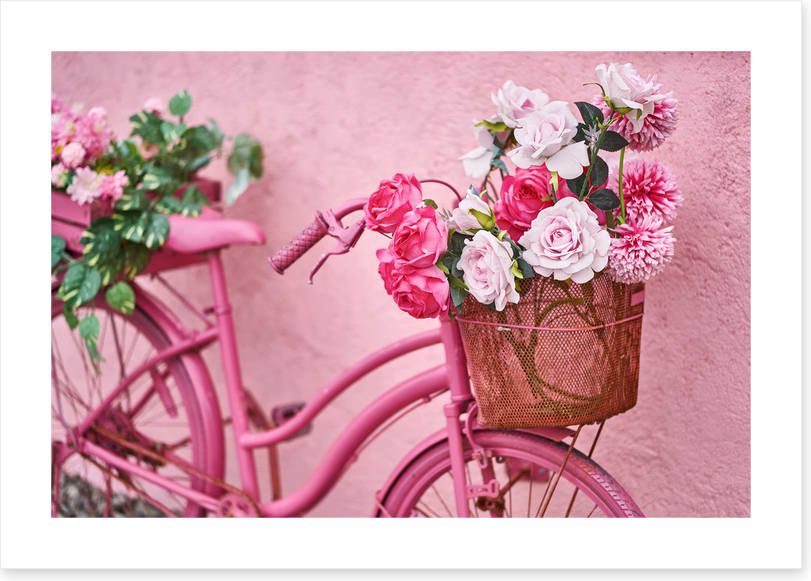Wheely pretty