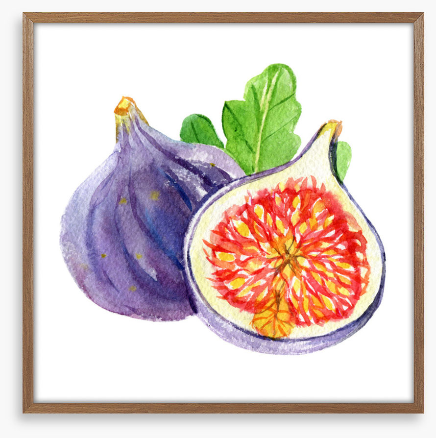 Fig and a half