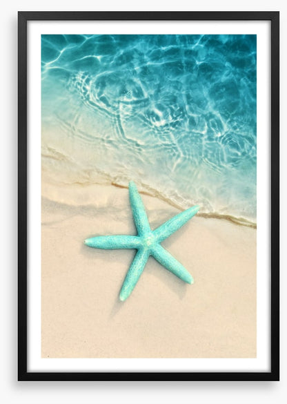 Turquoise starfish sands