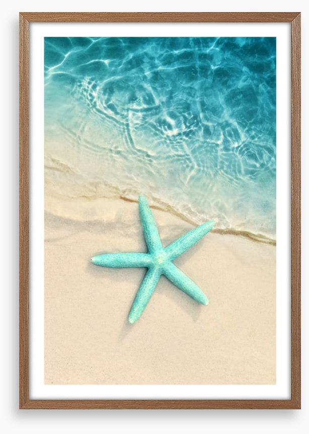 Turquoise starfish sands