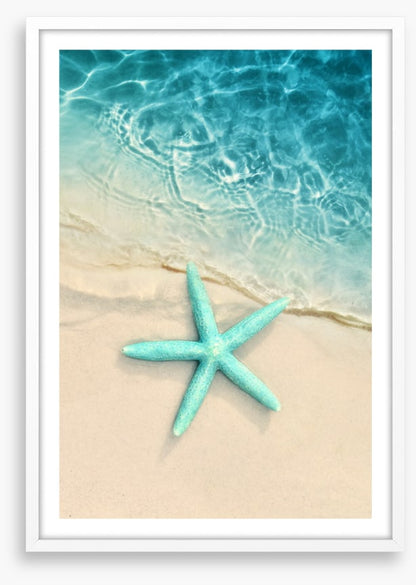Turquoise starfish sands