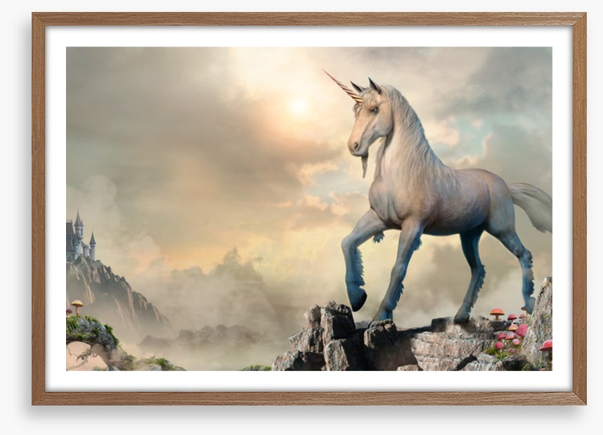 Unicorn of the clouds