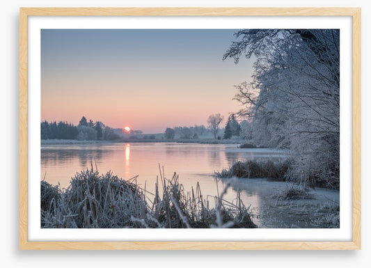 Pastel morning