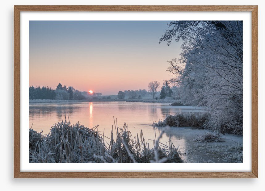 Pastel morning