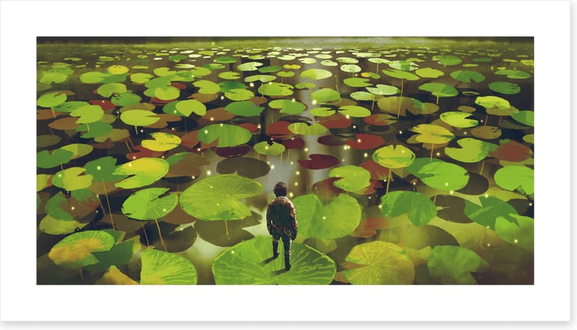 Lily pad labyrinth