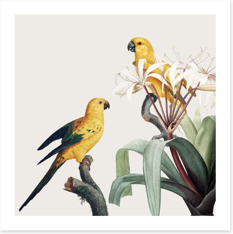 Feathered friends I