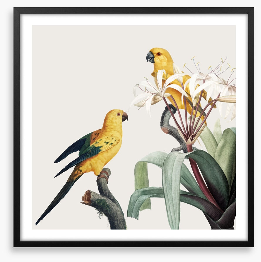 Feathered friends I