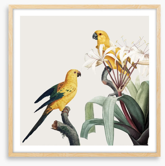 Feathered friends I