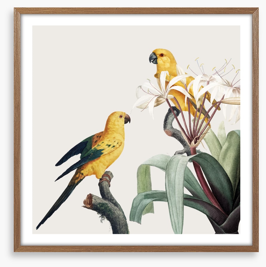 Feathered friends I