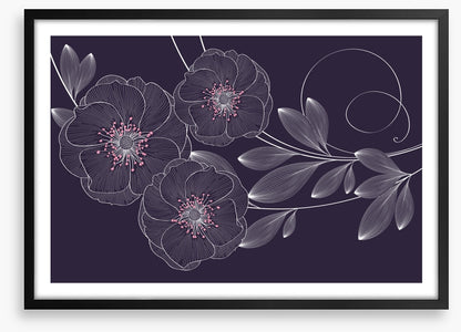 Rose flower flourish