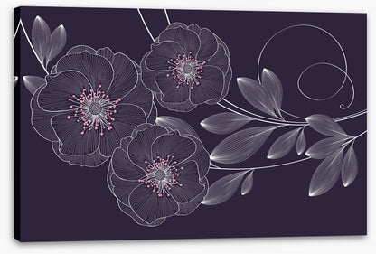 Rose flower flourish