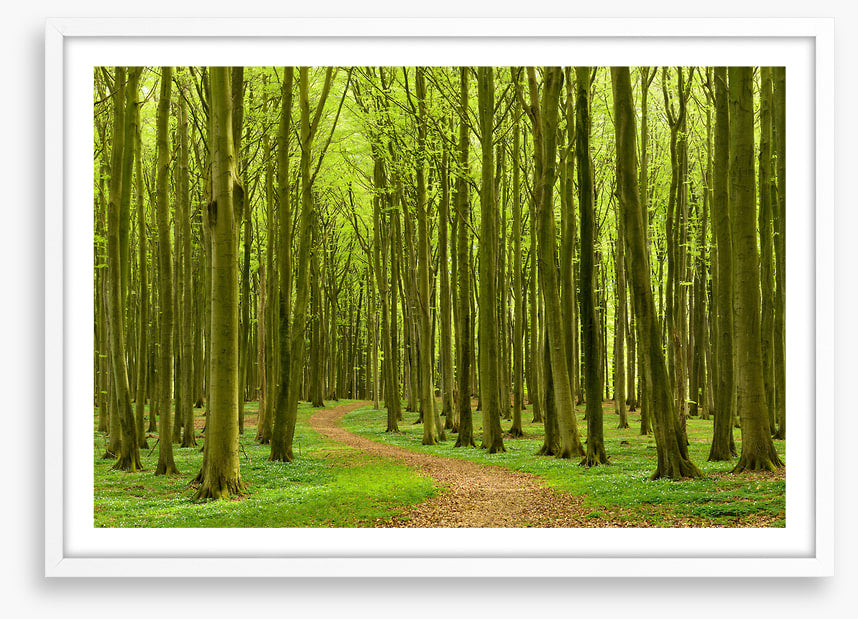 Follow the path