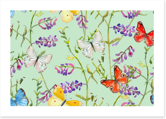 Butterflies