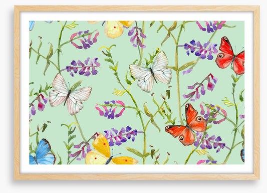 Butterflies