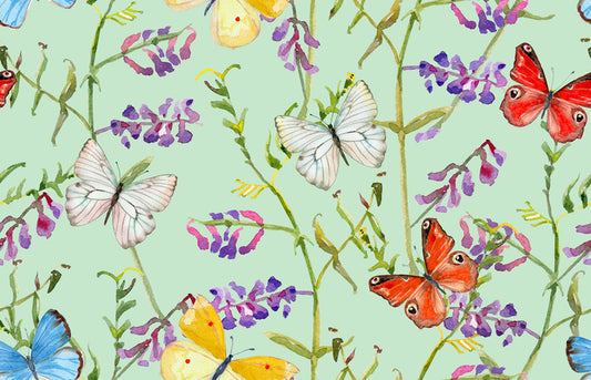 Butterflies