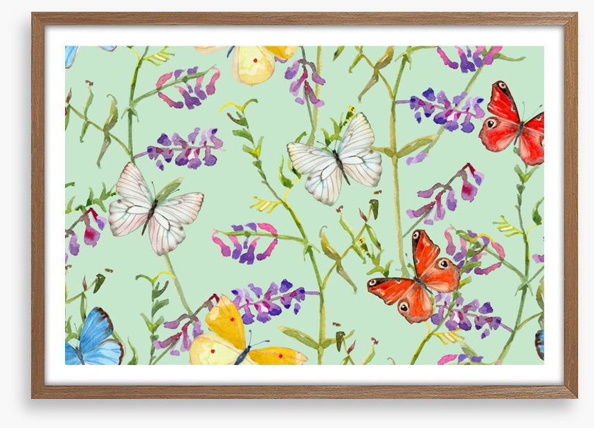 Butterflies