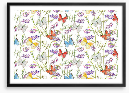 Butterflies