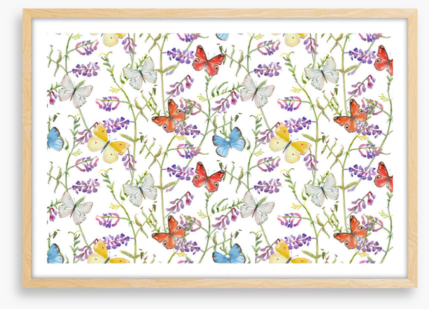 Butterflies