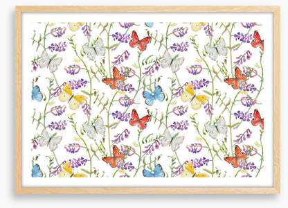 Butterflies