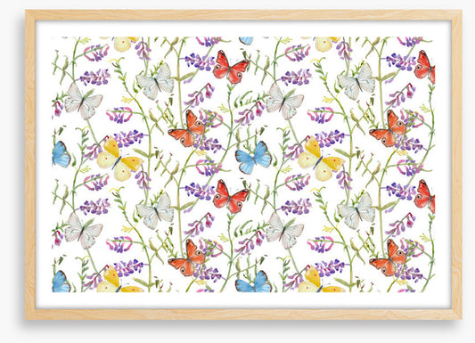 Butterflies