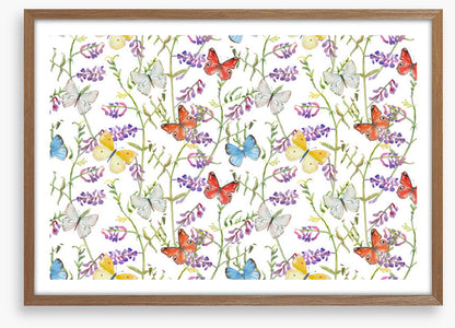 Butterflies