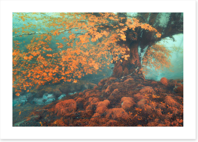 Fantasy in fall