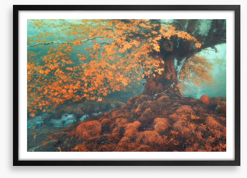Fantasy in fall